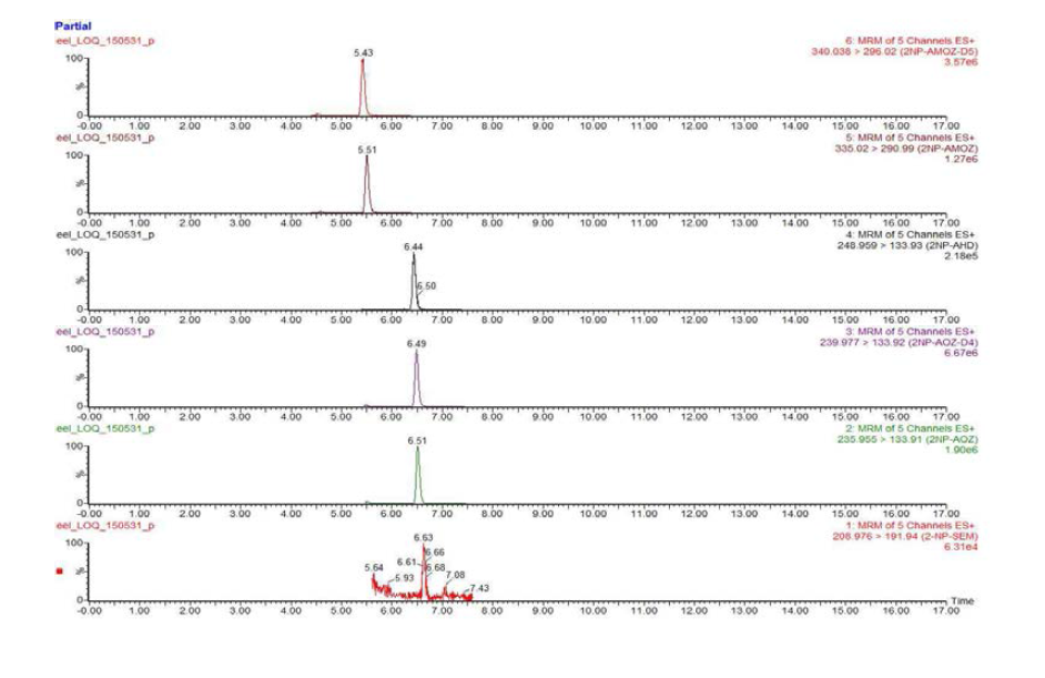 Chromatograms of nitrofurans LOQ recovery test in eel sample.