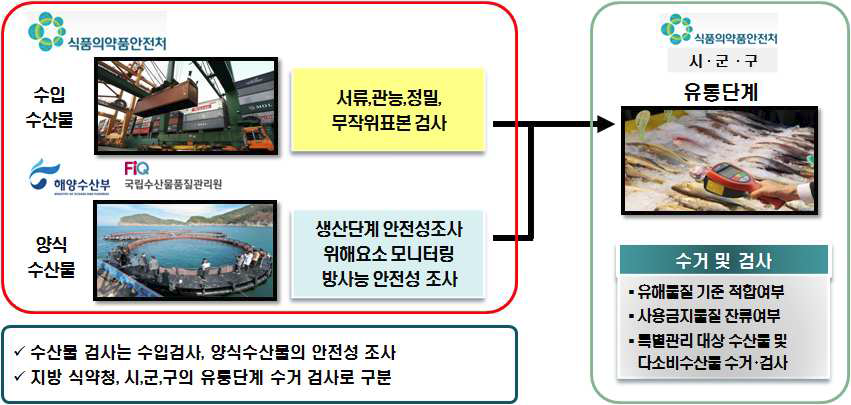 Inspection system of fish in korea.