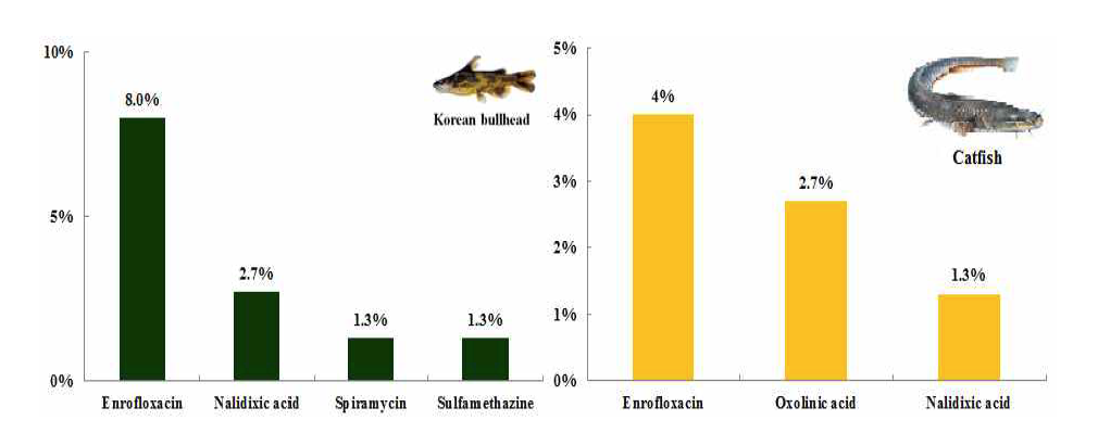 Detection rate of residual veterinary drugs in Korean bullhead and Catfish.
