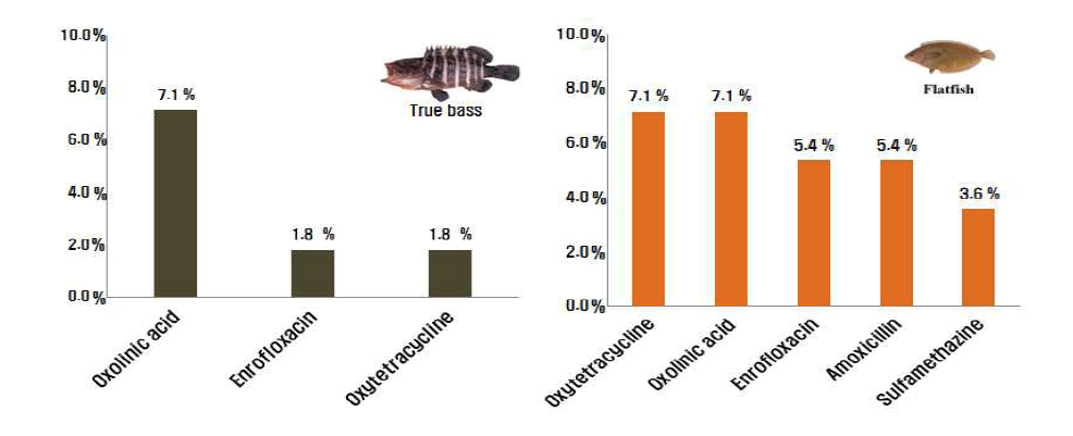 Detection rate of residual veterinary drugs in ture bass and flatfish.