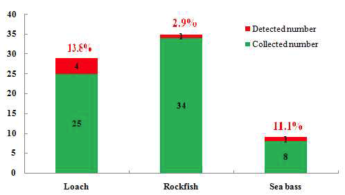 Residues found at or below MRL for ciprofloxacin.