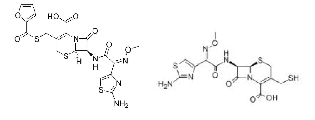 Molecular of Ceftiofur and desfuryl ceftiofur.