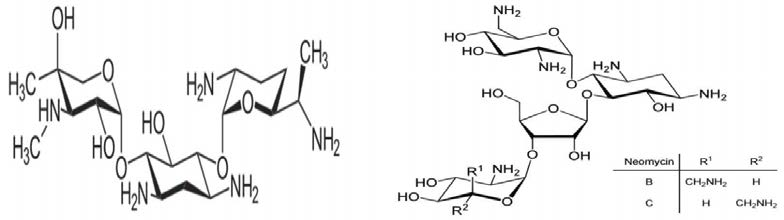 Molecular structures of Gentamicin and Neomycin.