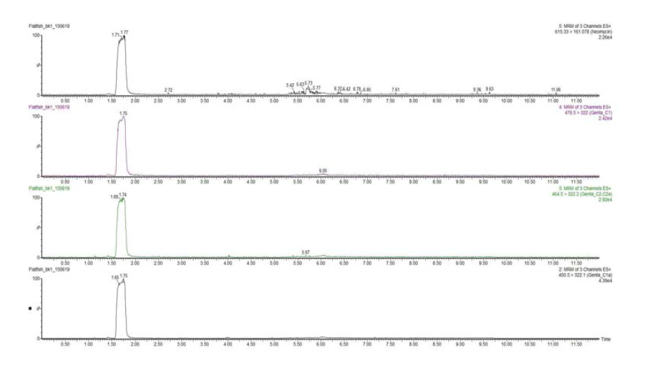 Chromatograms of Gentamicin and Neomycin of flatfish blank solution