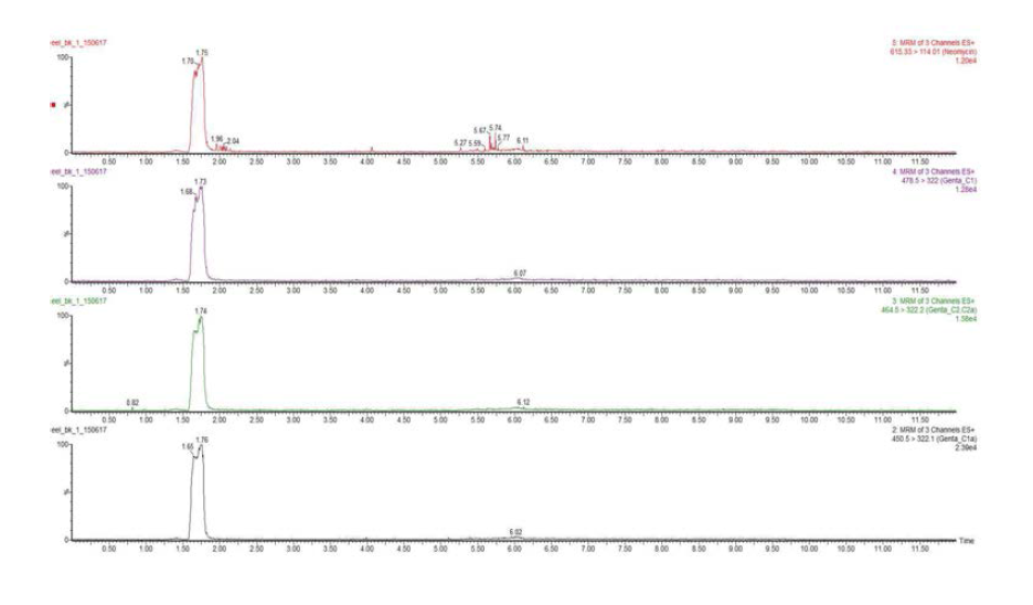 Chromatograms of Gentamicin and Neomycin standards at MRL conc. in eel extracted solution.