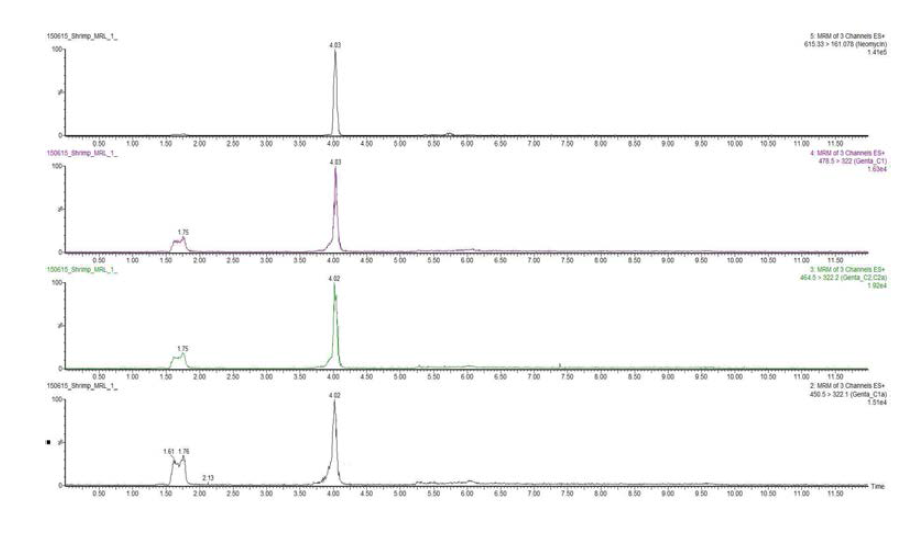 Chromatograms of Gentamicin and Neomycin MRL recovery test in shrimp sample.