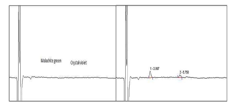 Chromatogram of blank and LOQ recovery test(flatfish).