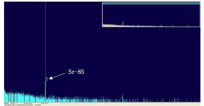 분석시료(수산물) 중 85Sr의 감마스펙트럼