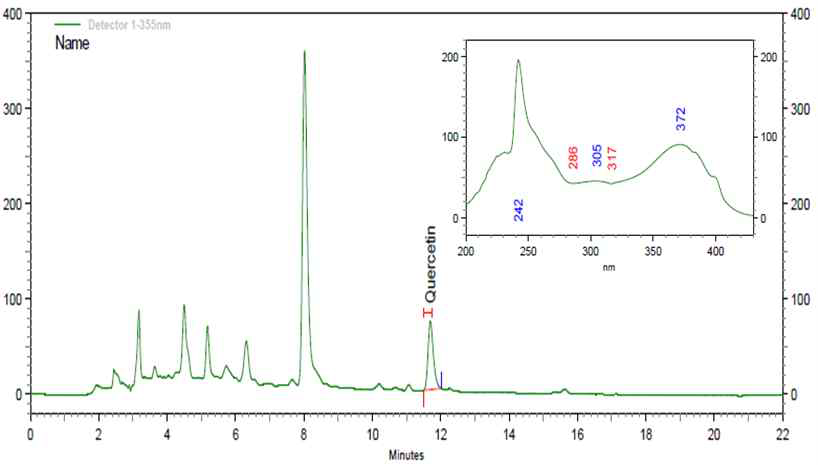 헛개나무추출분말 시료의 HPLC 크로마토그램