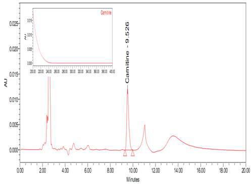 L-카르니틴타르트레이트 검체의 HPLC 크로마토그램