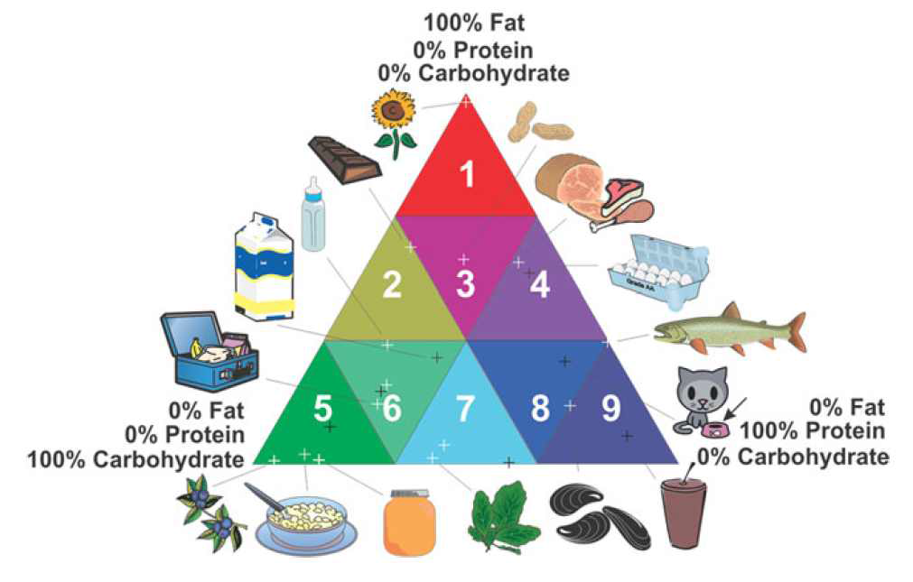 식품매질삼각형