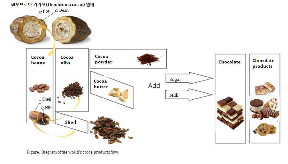 Process flow of cocoa products and chocolates