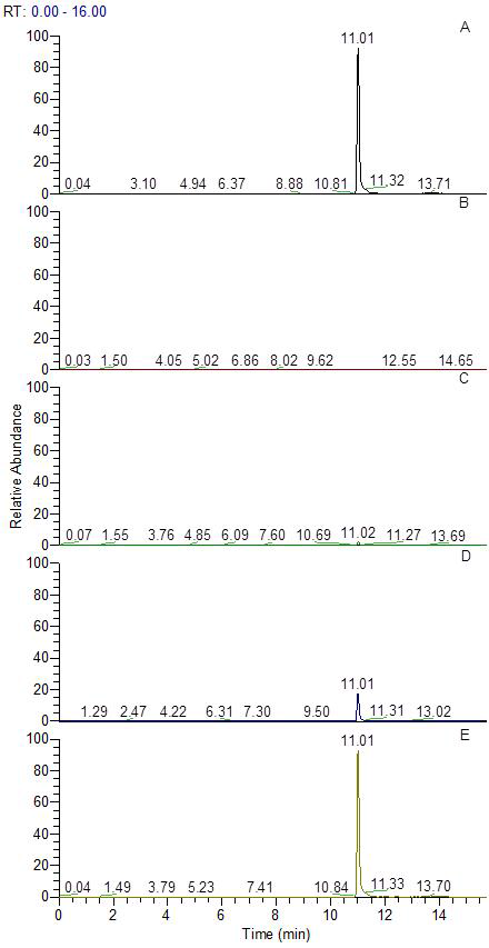 Representative MRM (quantification ion) chromatograms of (A) isoxaflutole diketonitrile standard in hulled rice matrix at 0.1 mg/kg, (B) hulled rice control, (b) spiked at 0.01 mg/kg, (d) spiked at 0.1 mg/kg and (e) spiked at 0.5 mg/kg