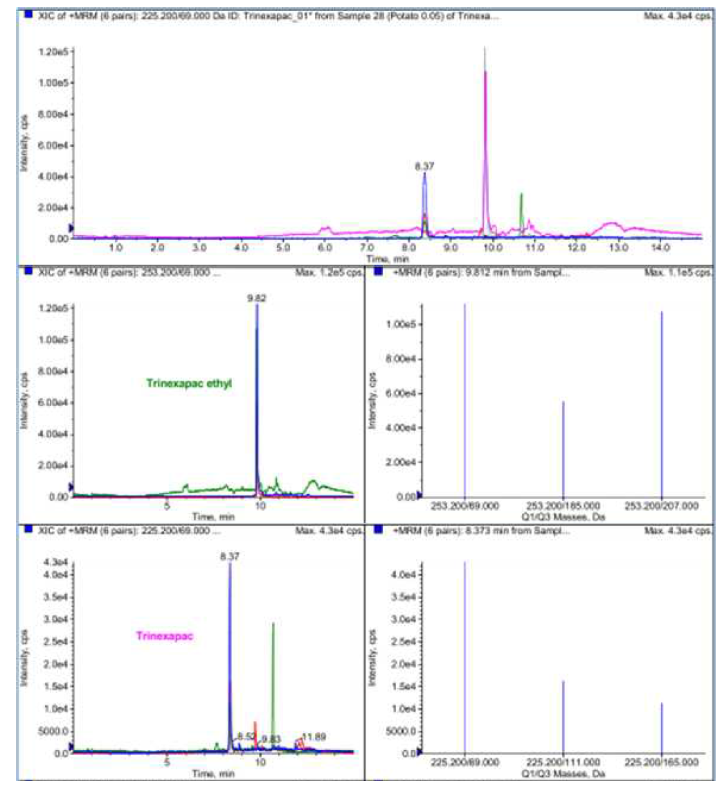 LC/MS/MS chromatograms of trinexapac-ethyl and trinexapac in potato.