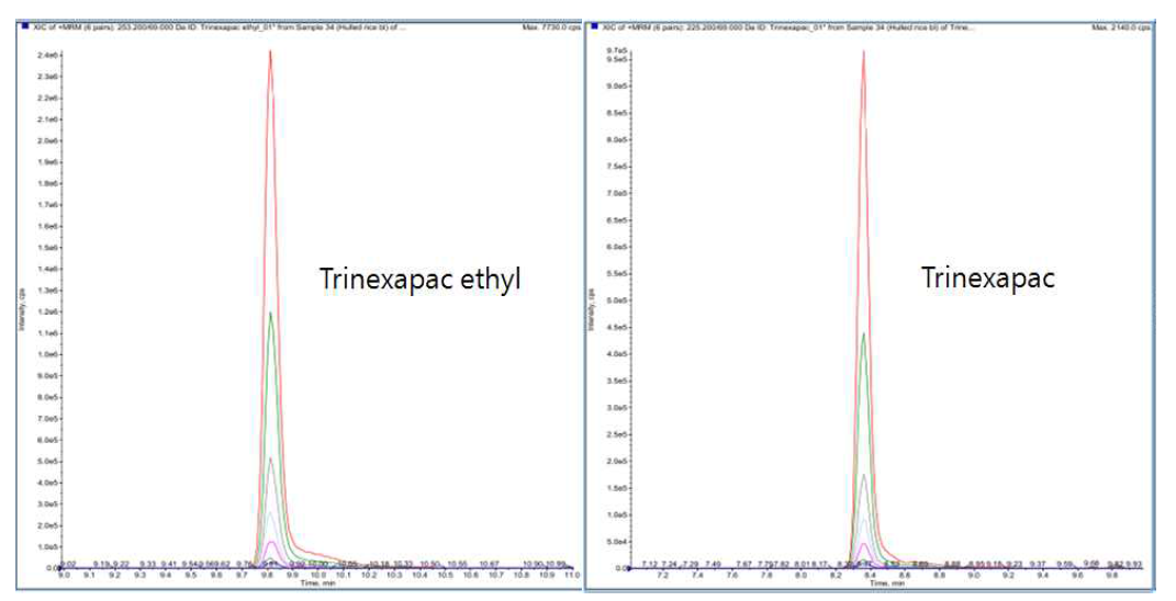 Layered chromatograms of trinexapac-ethyl and trinexapac in hulled rice.
