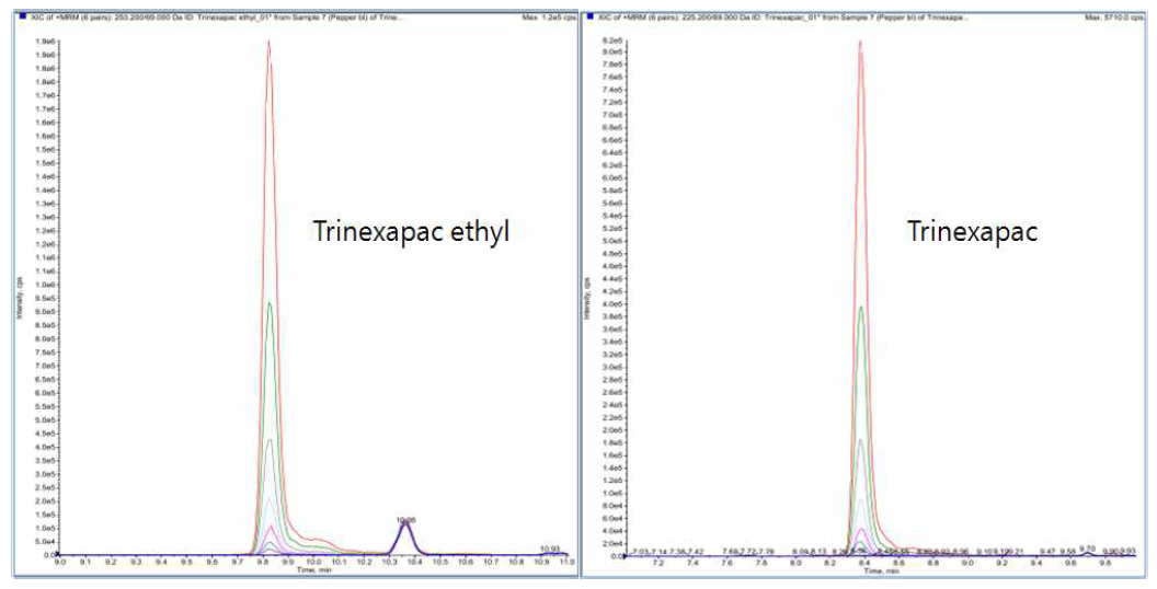 Layered chromatograms of trinexapac-ethyl and trinexapac in pepper.