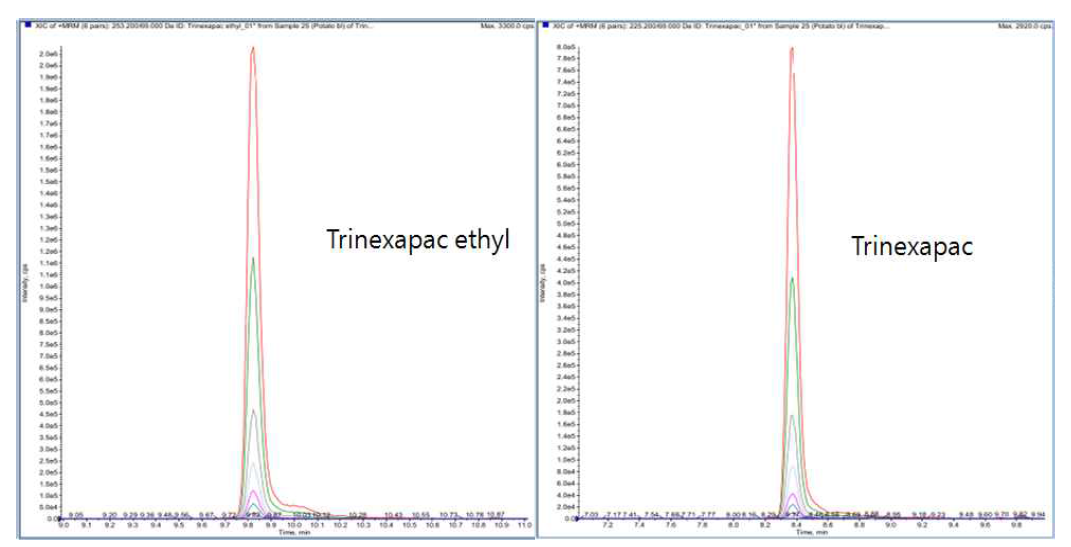 Layered chromatograms of trinexapac-ethyl and trinexapac in potato.