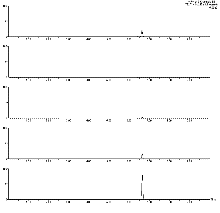 Representative MRM (quantification ion) chromatogram of (A) spinosyn A standard at 2.5 ng/kg, (B) pork control, (C) spiked at 0.01 mg/kg, (D) spiked at 0.1 mg/kg and (E) spiked at 0.5 mg/kg