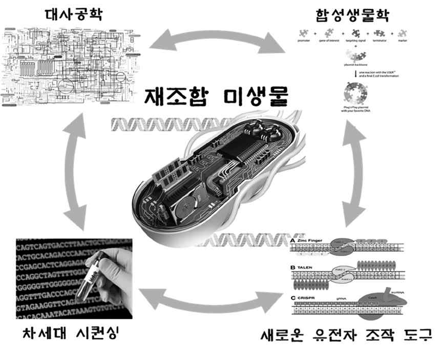 유전자변형미생물 연구개발 동향