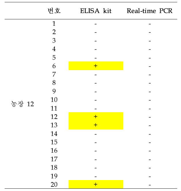 농장 12에서 채취한 돼지 혈액의 T. gondii 검출 테스트 결과