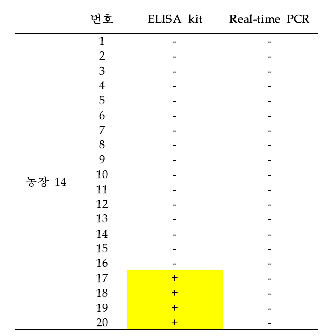 농장 14에서 채취한 돼지 혈액의 T. gondii 검출 테스트 결과