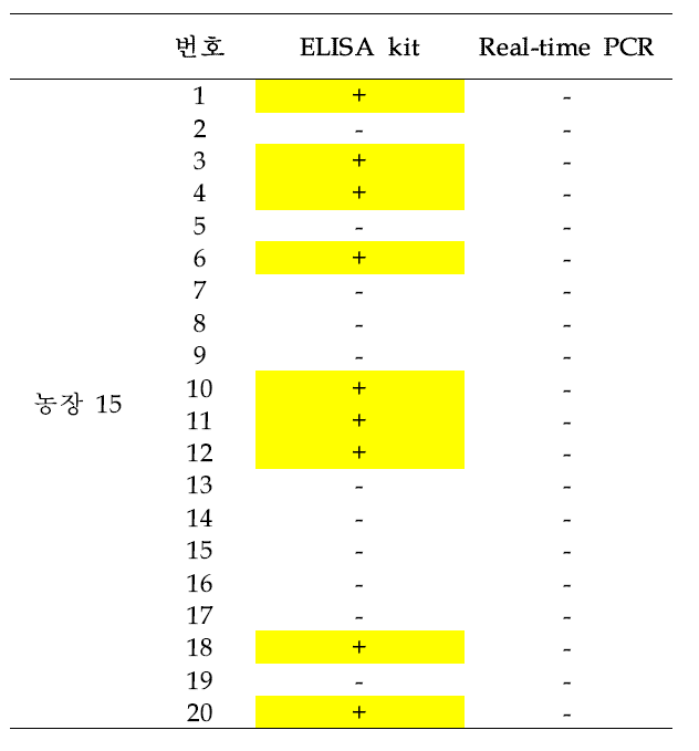 농장 15에서 채취한 돼지 혈액의 T. gondii 검출 테스트 결과