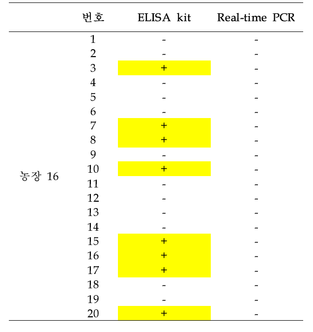 농장 16에서 채취한 돼지 혈액의 T. gondii 검출 테스트 결과