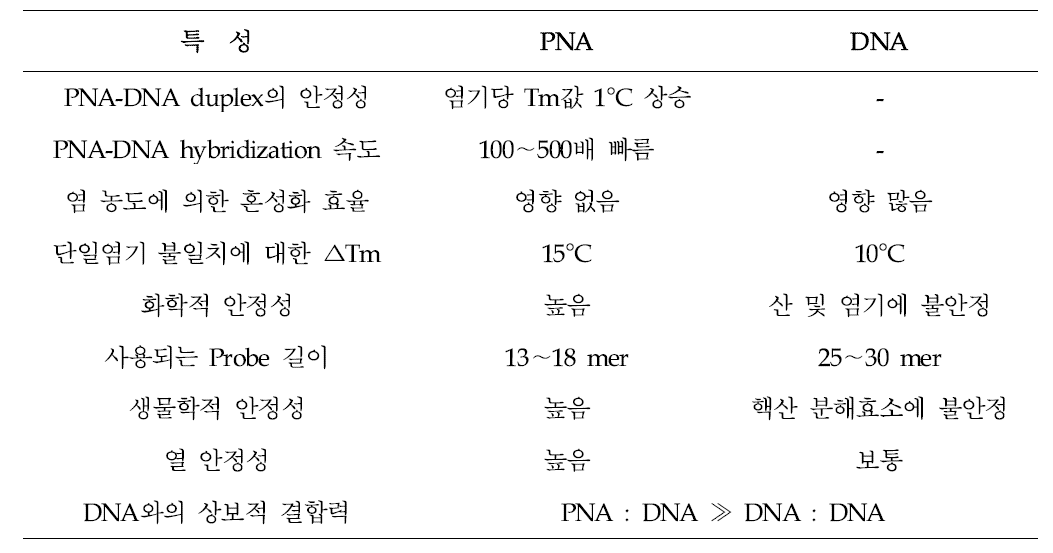 DNA와 PNA의 특성 비교