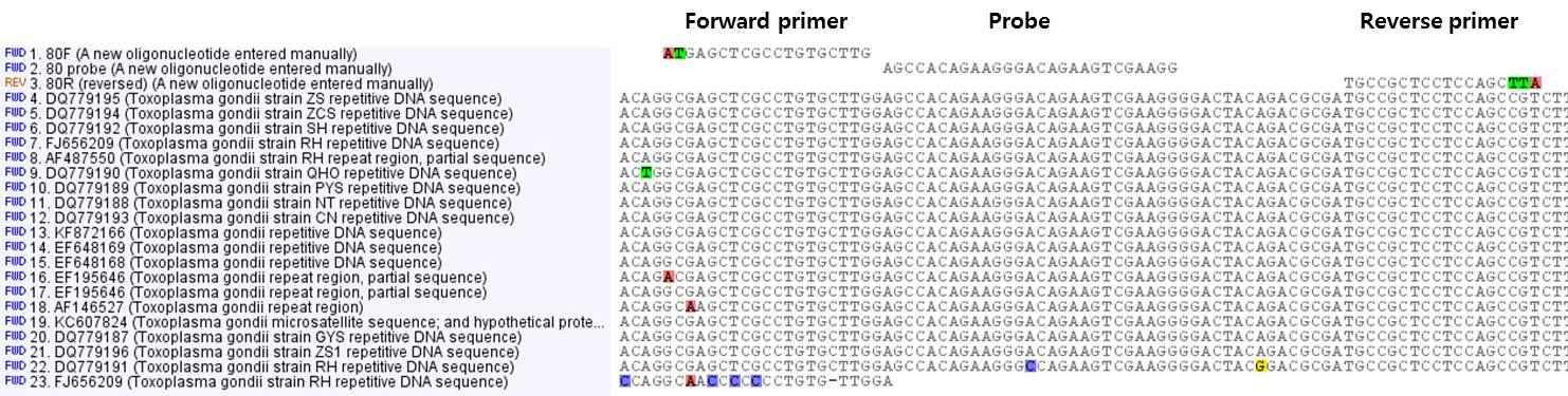 Alignment of various T. gondii sequences obtained from NCBI