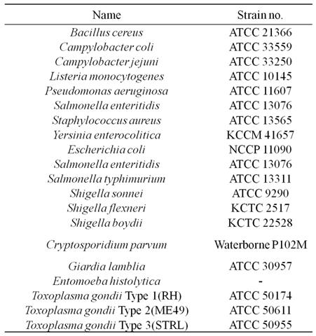 특이도 확인시험에 사용한 미생물의 DNA 목록