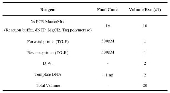 Conventional PCR reaction mixture의 조성