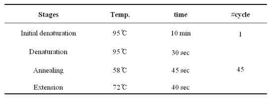 실시간 PCR의 온도 조건