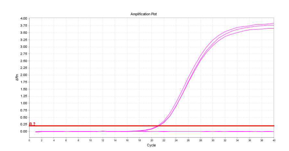 T. gondii type 1, type 2 및 type 3의 증폭곡선