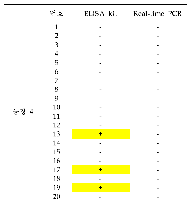 농장 4에서 채취한 돼지 혈액의 T. gondii 검출 테스트 결과