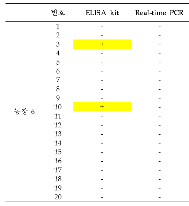 농장 6에서 채취한 돼지 혈액의 T. gondii 검출 테스트 결과