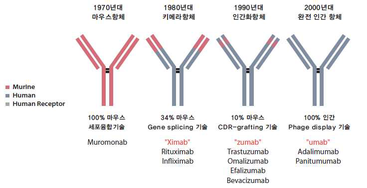 항체 제작기술별 항체의약품 구조