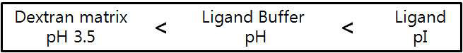 Immobilization buffer(Ligand buffer)의 선정 가능한 범위