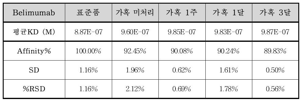 SPR assay 결과 - Belimumab과 FcγRIIIa
