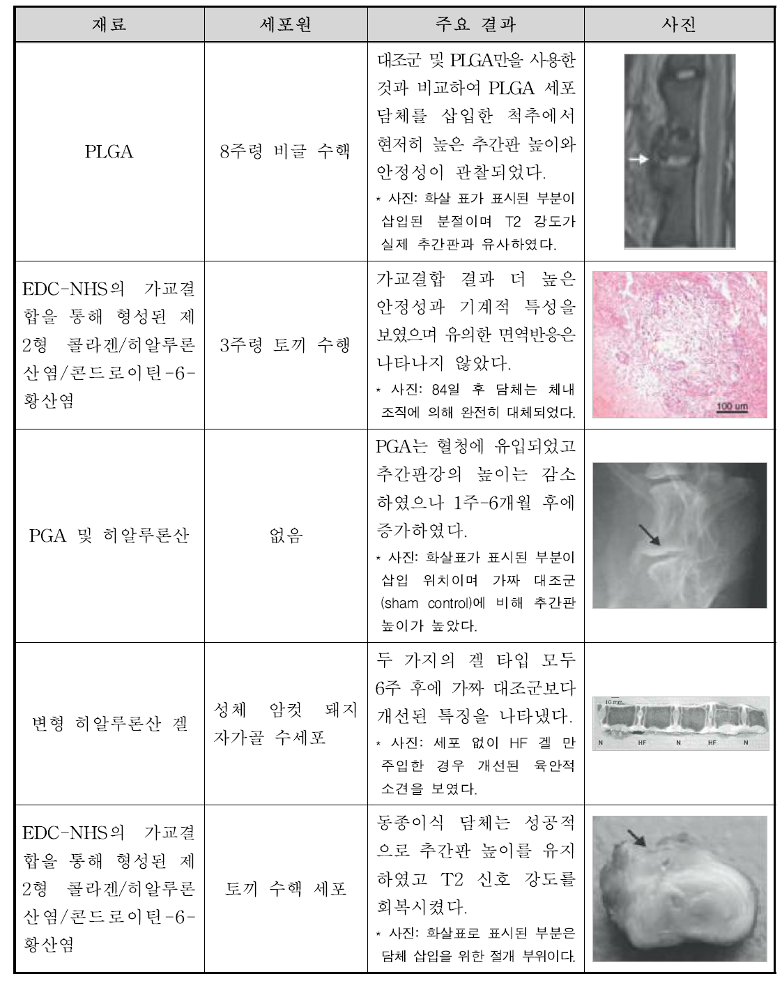 생체 내 수핵 치환 방법