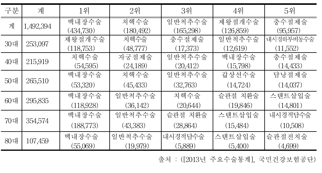 2013년 연령대별 상위 5개 수술 현황