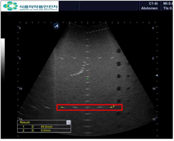 수평거리정확도 시험결과(A사)