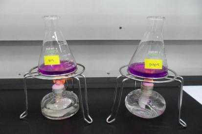 과망간산칼륨 환원성 물질 실험중 용액의 가열