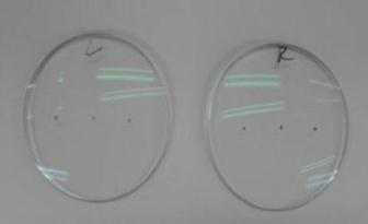 광학중심이 표기된 프리즘 렌즈