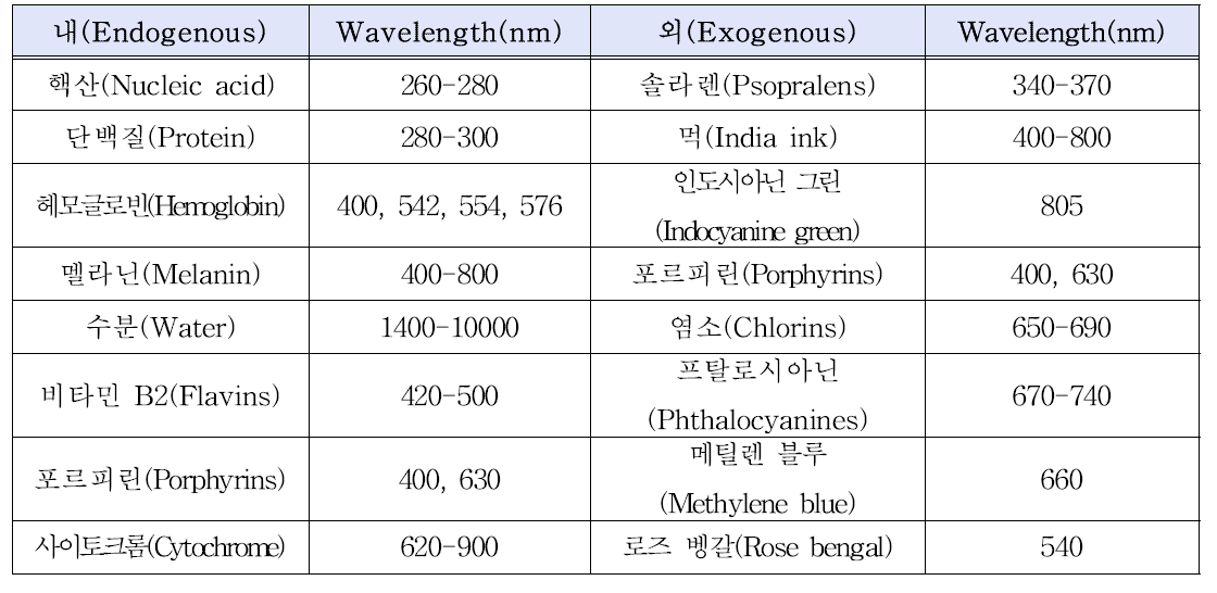 피부조직 내․외 색소포의 종류 및 광 흡수 파장