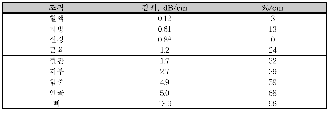 1 MHz 초음파의 감쇠