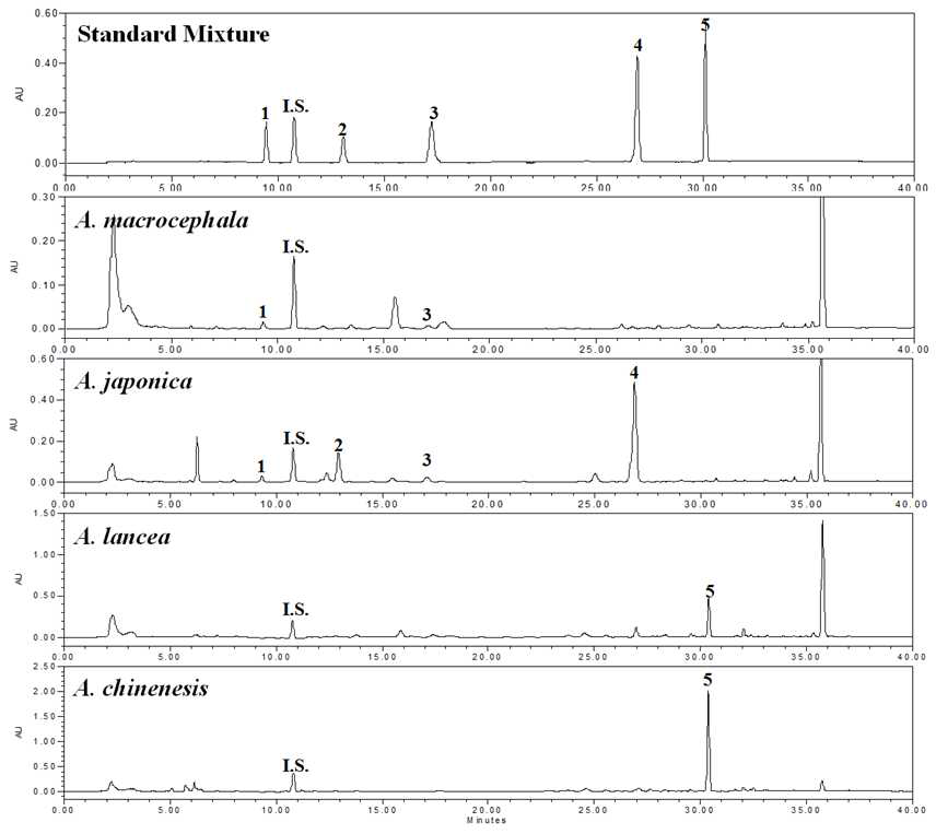 HPLC chromatogram – Standard Mixture, 백출, 삽주, 창출(모창출, 북창출)