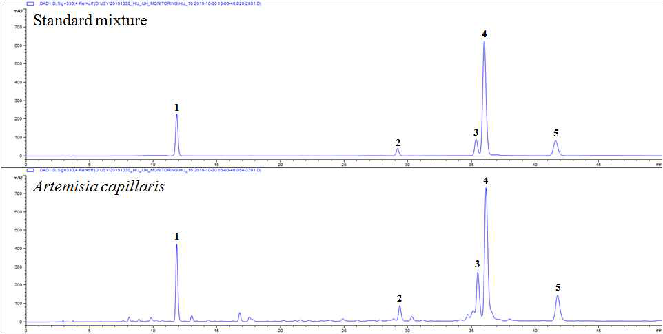 HPLC chromatogram – Standard Mixture, 인진호 Chlorogenic acid (1), Hyperoside (2), 3,4-Di-O-caffeoylquinic acid (3), 3,5-Di-O-caffeoylquinic acid (4), 4,5-Di-O-caffeoylquinic acid (5)