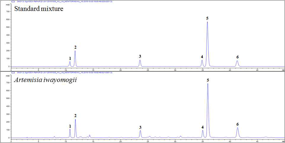 HPLC chromatogram – Standard Mixture, 한인진 Scopolin (1), Chlorogenic acid (2), Scopoletin (3), 3,4-Di-O-caffeoylquinic acid (4), 3,5-Di-O-caffeoylquinic acid (5), 4,5-Di-O-caffeoylquinic acid (6)