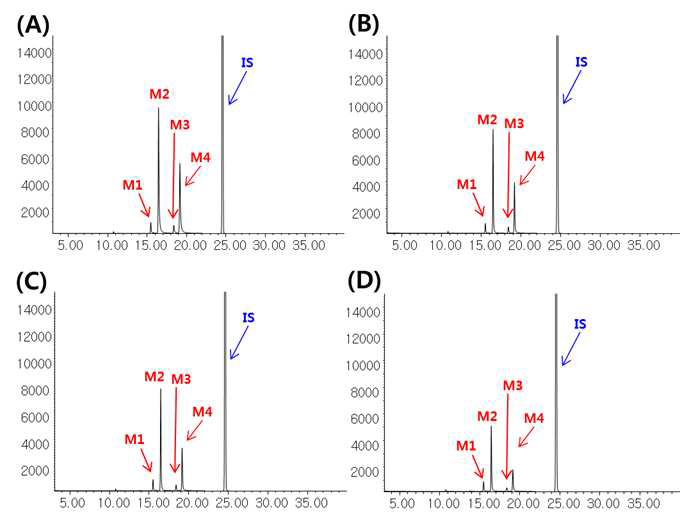 온도/습도 안정성 시험 시료 (1개월 보관 시료)의 GC-MS 크로마토그램 (A: initial 시료, B: -20°C for 1 month, C: 4°C, 1 month, D: 25°C & 60% for 1 month)