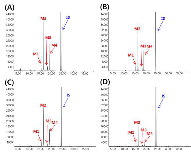 온도/습도 안정성 시험 시료(1개월 보관 시료)의 GC-MS 크로마토그램 (A: initial 시료, B: -20°C for 1 month, C: 4°C, 1 month, D: 25°C & 60% for 1 month)